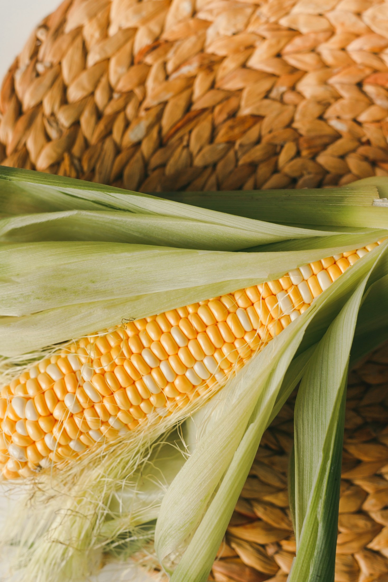Building a Creative Ecosystem with Cornhub