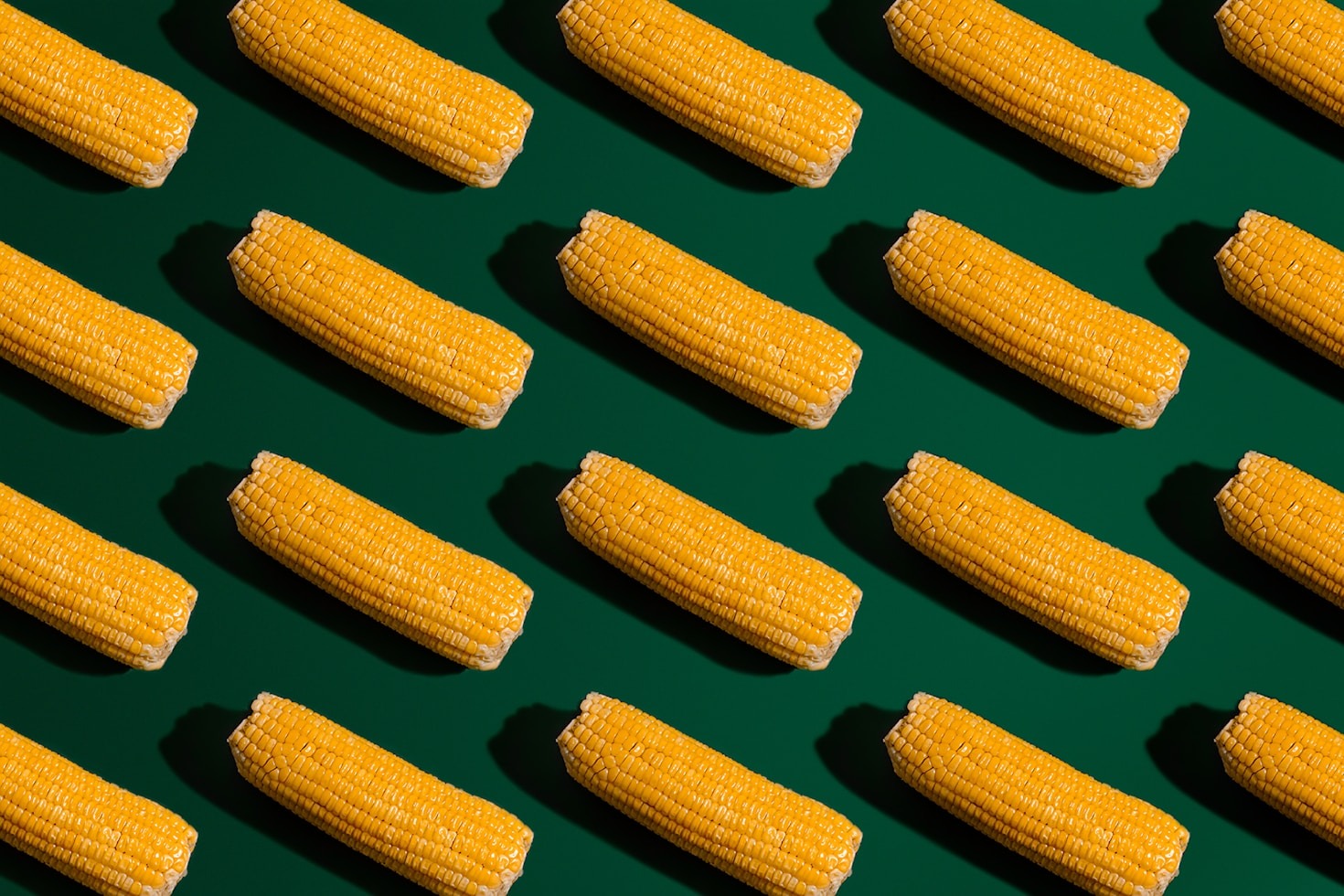 Why Corn Enthusiasts Love the Decentralized World
